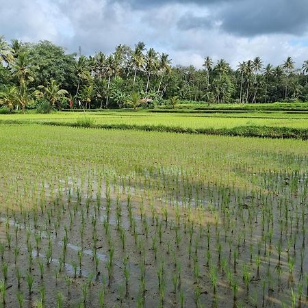 New 4 Bedroom Villa Surrounded By Jungle And Ricefields Ubud Eksteriør billede