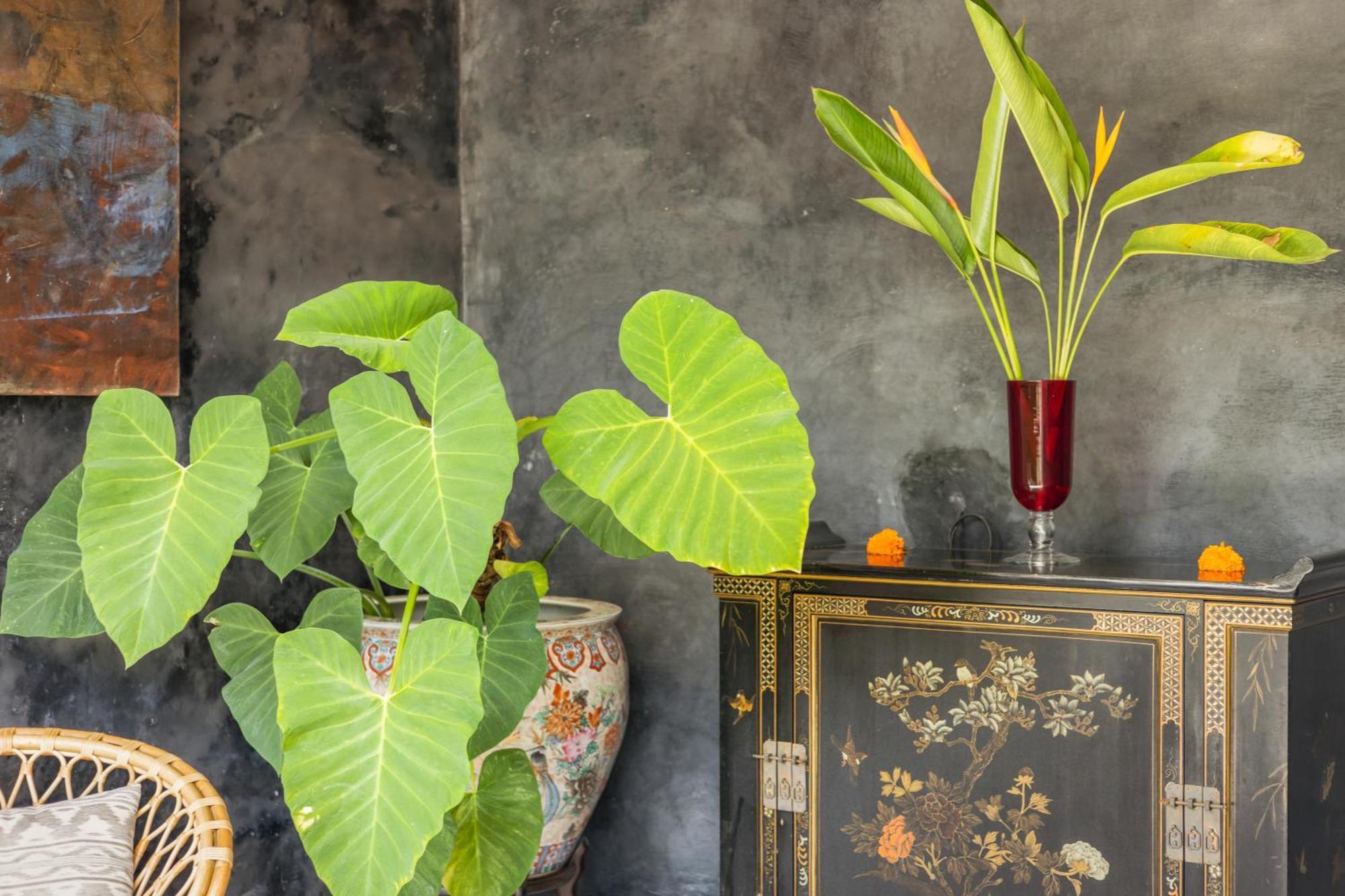 New 4 Bedroom Villa Surrounded By Jungle And Ricefields Ubud Eksteriør billede